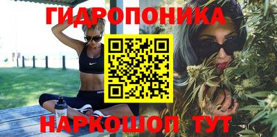 мдпв Владимир