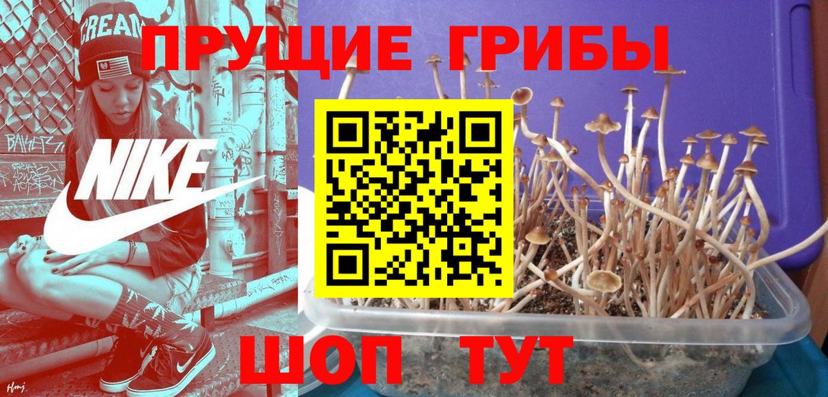 Псилоцибиновые грибы прущие грибы  Вход с VPN  Волгоград  Галлюциногенные грибы Magic Shrooms 